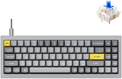 Keychron Q7 Wired Custom Mechanical Keyboard, 70% Layout QMK/VIA Programmable Macro with Hot-swappable Gateron G Pro Blue Switch Double Gasket Compatible with Mac Windows Linux (Grey) by Keychron
