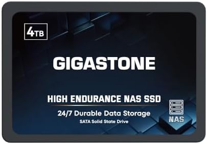 Gigastone 4TB High Endurance SSD Up to 530MB/s SLC Caching 24/7 Reliable for Gaming/PC/NAS SSD 5-Year Warranty 2.5" SATA Internal Solid State Drives RAID Disk by Gigastone