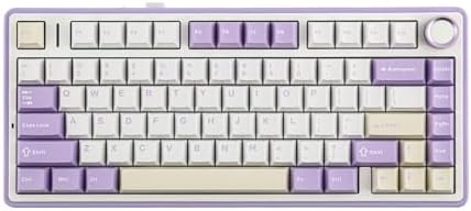 EPOMAKER x Aula F75 Gasket Mechanical Keyboard, 75% Wireless Hot Swappable Gaming Keyboard with Five-Layer Padding&Knob, BT/2.4GHz/USB-C, RGB (Purple, LEOBOG Reaper Switch) by EPOMAKER