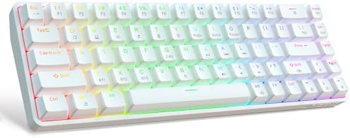 DIERYA DK68 60% Wireless Mechanical Gaming Keyboard, 3-Mode, Bluetooth 5.0/2.4G/USB-C, RGB Backlit, 68-Key Compact Mini for Windows, Mac, Linux - Clicky Blue Switch - White by DIERYA