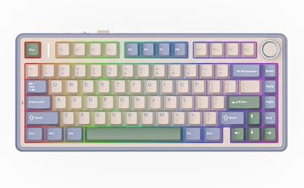 EPOMAKER x Aula F75 Gasket Mechanical Keyboard, 75% Wireless Hot Swappable Gaming Keyboard with Five-Layer Padding&Knob, BT/2.4GHz/USB-C, RGB (Green, LEOBOG Reaper Switch) by EPOMAKER
