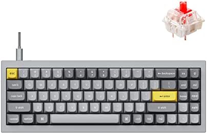 Keychron Q7 Wired Custom Mechanical Keyboard, 70% Layout QMK/VIA Programmable Macro with Hot-swappable Gateron G Pro Red Switch Double Gasket Compatible with Mac Windows Linux (Gray - New) by Keychron