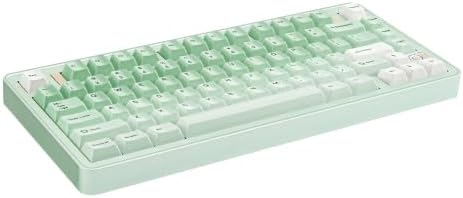 EVO75 Mechanical Keyboard (Anodized Light Sage, PP) - Image 2
