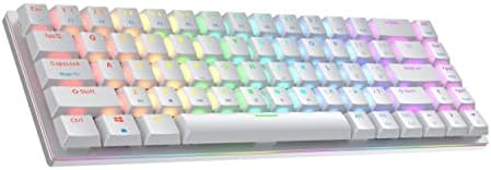 Ranked G65 Guardian 65% | Full Aluminum Frame | Ultra Slim Hot Swappable Mechanical Gaming Keyboard | 68 Keys Multi Color RGB LED Backlit for PC/Mac Gamer (White, Gateron Low Profile Red) by Ranked