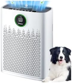 Air Purifiers for Home Large Room, Up to 2400 Ft² with HEPA Filter by ECOSELF