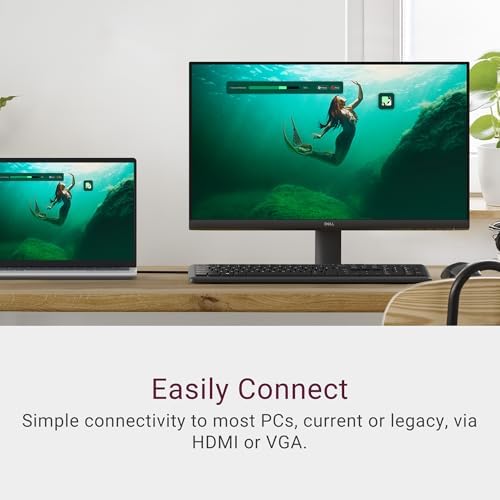 Dell 24 Monitor SE2425HM, FHD, IPS, 100Hz, 250 Nit, Eye Comfort - Image 6