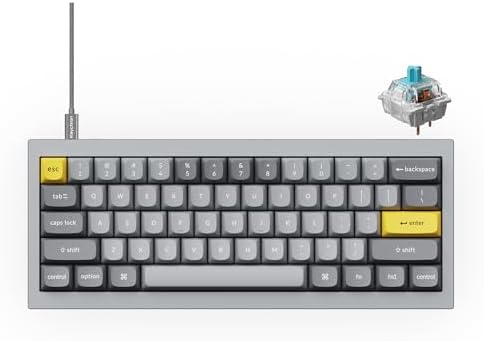 Keychron Q4 Wired Custom Mechanical Keyboard, 60% Layout QMK/VIA Programmable Macro with Hot-swappable Gateron G Pro Blue Switch Double Gasket Compatible with Mac Windows Linux (Gray) by Keychron