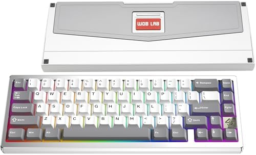 KEEBMONKEY WOBKEY Zen 65 65% Quick Release Wireless Mechanical Keyboard with RGB, CNC Aluminum Case, Hot-Swappable, VIA Support, BT/2.4G/USB-C Gaming Keyboard for Mac/Windows (Lite Silver) by KEEBMONKEY