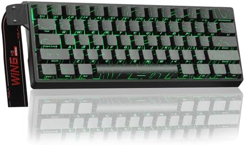 Aula WIN60 HE - 60% Mechanical Gaming Keyboard Wired, Hall Effect Magnetic Switch Hot Swappable, Adjustable Actuation RT Mode, 8000 Hz Polling Rate, RGB Keyboard 60 Percent Compact Design for PC by CORBOBO