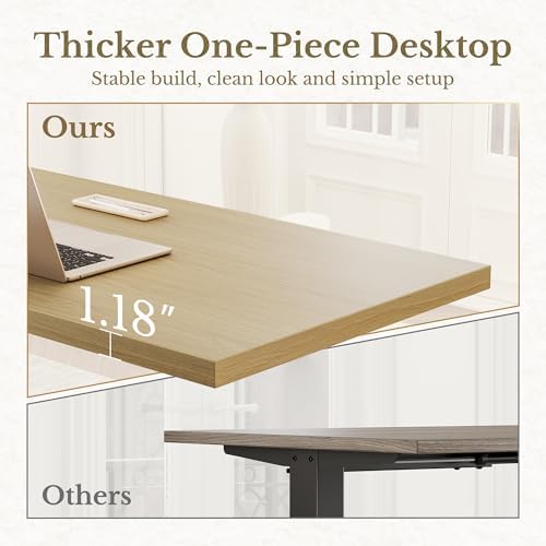 ErGear 48 X 24 Inch Height Adjustable Electric Standing Desk, Light Walnut - Image 3