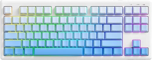 ZIYOU LANG M87V2 Wireless Gaming Keyboard, 80% TKL 87-Key Low Profile, Blue by ZIYOULANG