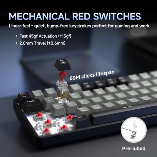 DIERYA DK68 60% Wireless Mechanical Gaming Keyboard, 3-Mode, Bluetooth 5.0/2.4G/USB-C, RGB Backlit, 68-Key Compact Mini for Windows, Mac, Linux - Linear Red Switch - Black/Grey - Image 4