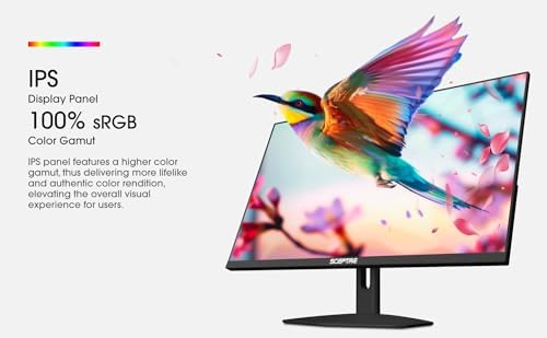Sceptre New IPS 27-inch Prime Gaming Monitor 100Hz DP HDMI USB Type C, Build-in Speakers Machine Black 2026 (E275W-FP100T Series) - Image 3