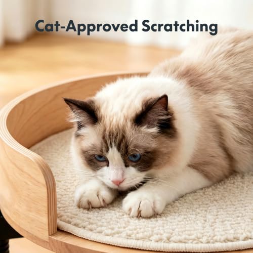 FLEXISPOT EN2 55"x28" Standing Desk with Solid Wood Cat Bed, White - Image 4