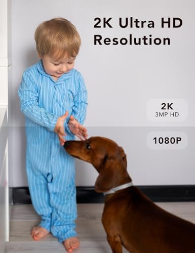 2K Wired Security Camera, Indoor/Outdoor for Home, Pet, Baby, Nanny, IP65 Waterproof Color Night Vision, White Light & Siren, Recording, Motion Detection, Works with Alexa,Plug in, White-4P - Image 4