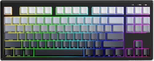 ZIYOU LANG M87V2 Wireless Gaming Keyboard, 80% TKL 87-Key Low Profile, Moon by ZIYOULANG