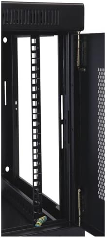 Tripp Lite 9U Wall Mount Rack Enclosure Server Cabinet, 16.5" Deep, Switch-Depth, 200 lbs Capacity, 5-Year Warranty (SRW9U) - Image 3