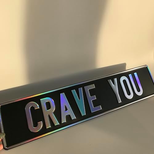 Custom Black Nameplate Front European License Plate Home Decor Metal Art Personalized Name Delete Interior Funny Gift (Chameleon) - Image 5