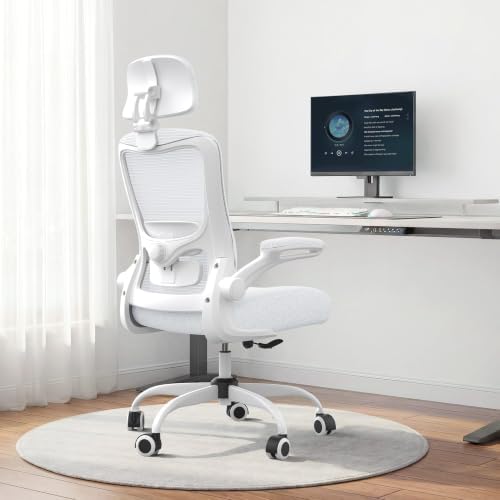 Ergonomic Office Chair for Lower Back Relief, 4-Way Lumbar, 330 LBS by DesignedforFocusedHours