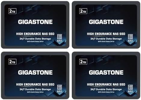 Gigastone 2TB High Endurance SSD (4-Pack) Up to 550MB/s TLC Flash with SLC Caching 24/7 Reliable for Gaming/PC/NAS SSD 5-Year Warranty 2.5" SATA Internal Solid State Drives RAID Disk by Gigastone