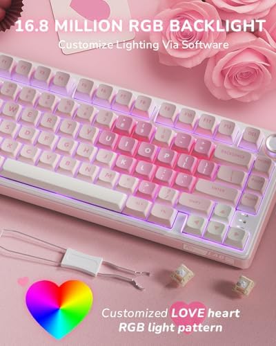 RK ROYAL KLUDGE R75 Wireless Mechanical Keyboard, 75% Percent Custom Gaming Keyboard Gasket Mount RGB Backlit with Knob & PBT Keycaps, BT5.1/2.4GHz/USB-C, Hot Swappable Cream Switch - Image 6