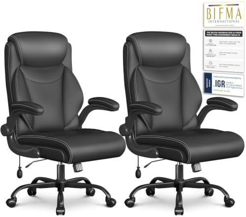 Ergonomic Office Chair,Inflatable Lumbar Support High Back Chair,Black by Cyzena