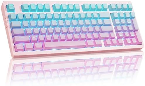 ZORNHER ZH980 Mechanical Keyboard,95% Pink & Blue Creamy Keyboard with Number Pad,Gaming Keyboard Full Size,Shine Through PBT Keycaps,Creamy Sounding Linear Switches by Zornher