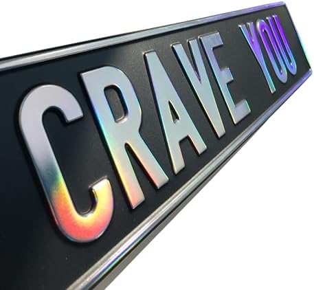 Custom Black Nameplate Front European License Plate Home Decor Metal Art Personalized Name Delete Interior Funny Gift (Chameleon) - Image 4