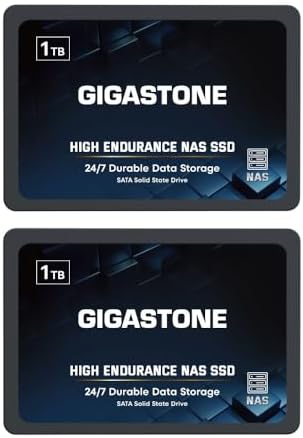 Gigastone 1TB High Endurance SSD (2-Pack) Up to 550MB/s TLC Flash with SLC Caching 24/7 Reliable for Gaming/PC/NAS SSD 5-Year Warranty 2.5" SATA Internal Solid State Drives RAID Disk by Gigastone