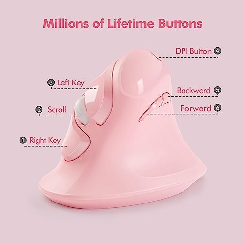 MicroPack Ergonomic Vertical Wireless Mouse, Silent Cordless Office Mouse with USB-A & Type-C Receiver, 800/1200/1600 DPI, 6 Buttons, Reduces Wrist Strain for Work, Windows, Mac, PC & Laptop Pink - Image 5