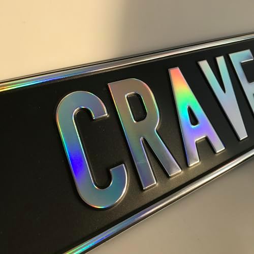 Custom Black Nameplate Front European License Plate Home Decor Metal Art Personalized Name Delete Interior Funny Gift (Chameleon) - Image 6