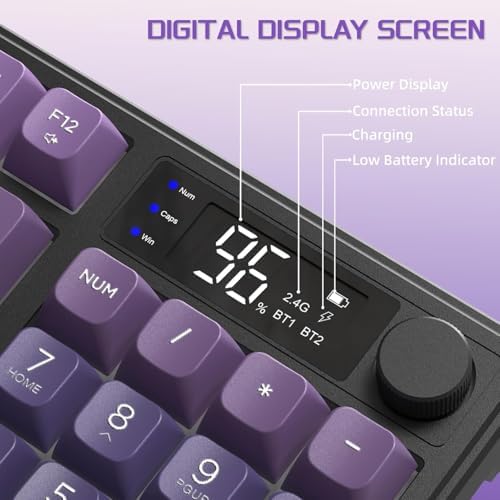 FREEWOLF M96 Wireless Gaming Keyboard Creamy Membrane 94Key ANSI-Purple - Image 5