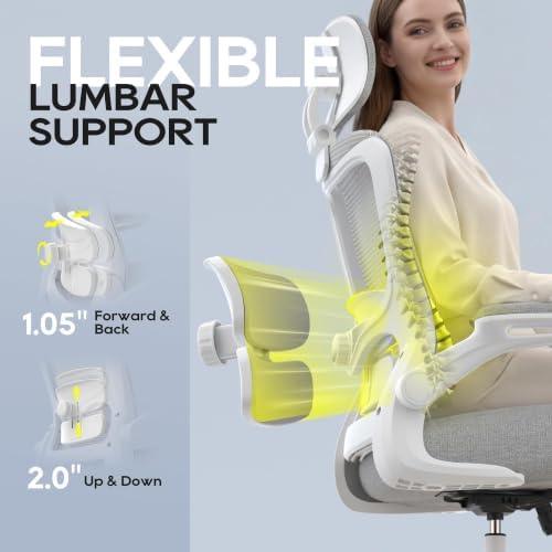 Ergonomic Office Chair for Lower Back Relief, 4-Way Lumbar, 330 LBS - Image 4