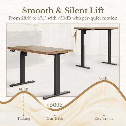 ErGear 48 X 24 Inch Height Adjustable Electric Standing Desk, Natural Oak - Image 6