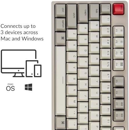 Keychron C2 Full Size Wired Mechanical Keyboard, Hot-Swappable, Retro - Image 2