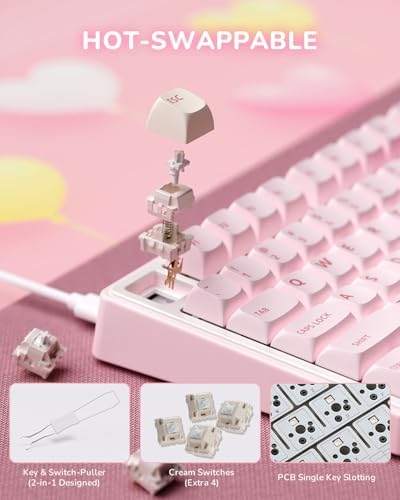 RK ROYAL KLUDGE R75 Wireless Mechanical Keyboard, 75% Percent Custom Gaming Keyboard Gasket Mount RGB Backlit with Knob & PBT Keycaps, BT5.1/2.4GHz/USB-C, Hot Swappable Cream Switch - Image 4