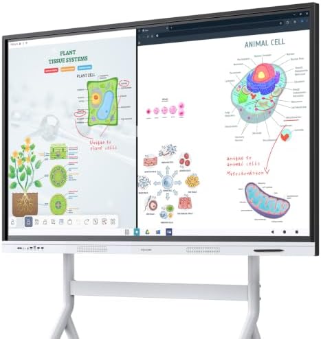 Smart Board, 55" Interactive Whiteboard with Google EDLA Certified by NEWORK