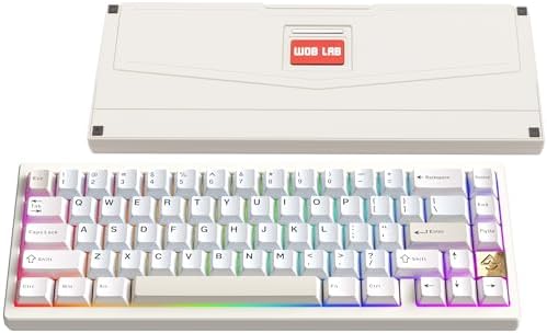 KEEBMONKEY WOBKEY Zen 65 65% Quick Release Wireless Mechanical Keyboard with RGB, CNC Aluminum Case, Hot-Swappable, VIA Support, BT/2.4G/USB-C Gaming Keyboard for Mac/Windows (Lite White) by KEEBMONKEY