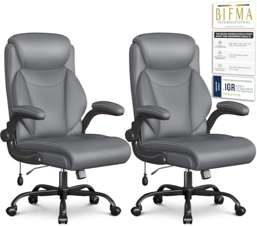 Ergonomic Office Chair,Inflatable Lumbar Support High Back Chair,Gray by Cyzena