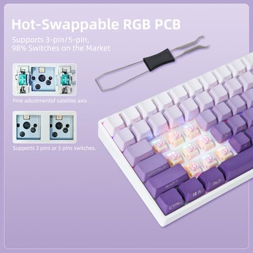 ZORNHER ZH100 Wireless Mechanical Keyboard,98% Purple Creamy Keyboard with Number Pad,Full Size Gaming Keyboard,Lighted Up PBT Dipped Keycaps,KKT Red Switches - Image 2