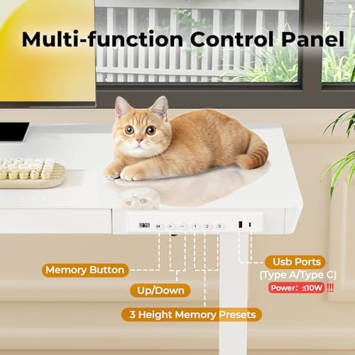 40" Glass Standing Desk with Drawer, Electric Stand up Desk - Image 5