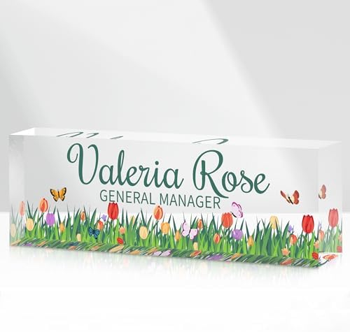 Custom Name Plate for Desk, Acrylic Desk Name Plate Personalized, Employee Appreciation Gifts, Office Desk Accessories for Woman Teacher Nurse, Coworker Gifts for Manager Assistant by DOCRAGI