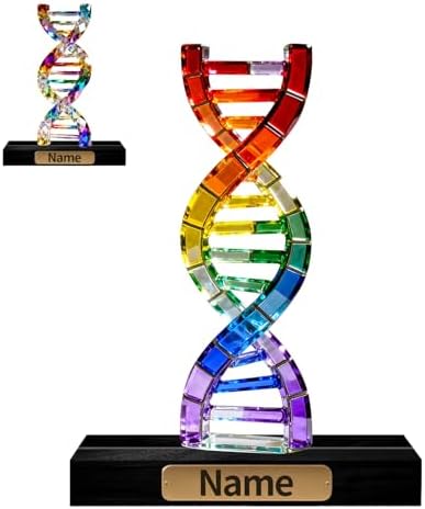 Personalized Acrylic DNA Double Helix Decoration Stained Glass Style Colorful Figurine with Custom Name Plate Biology Desktop Ornament Gifts for Geneticists Biologists Medical Students by Unknown