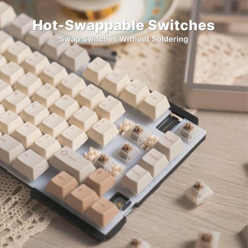 EVO75 Mechanical Keyboard (Spray-Coated Eclipse Grey, FR4) - Image 7