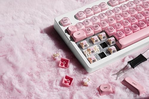 ZORNHER ZH980 Foundation Mechanical Keyboard,95% Pink& White Creamy Keyboard with Number Pad,Cute Jelly MOA Profile Keycaps,Creamy Sounding Linear Switches,Hot-Swappable,RGB Backlit - Image 7