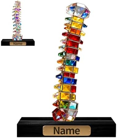 Personalized Acrylic Human Spine Anatomical Decoration Stained Glass Style Colorful Figurine with Custom Name Plate Medical Anatomy Desktop Ornament Gifts for Orthopedic Doctors Men Women by Unknown