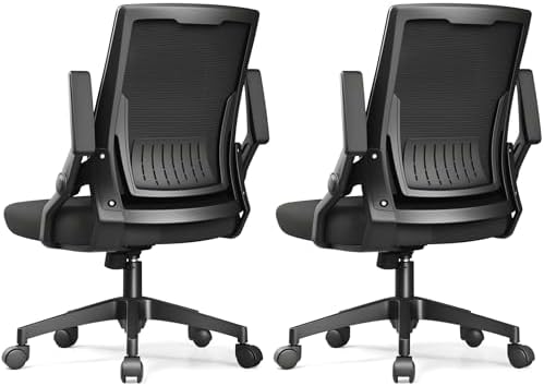 GTPLAYER Ergonomic Office Chair with Flip-up Armrests Executive Computer Chair for Home Office, Breathable Mesh & Comfy Lumbar Support, Pack of 2, Black by GTPLAYER