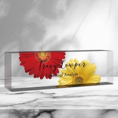 Desk Name Plate Personalized, Custom Name Plate for Desk, Acrylic Desktop Accessories, Office Gift & Decor for Women Men, Teacher Nurse Boss Employee Appreciation Gifts by PersonalizedGifts