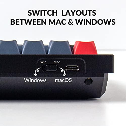 Keychron Q4 Wired Custom Mechanical Keyboard, 60% Layout QMK/VIA Programmable Macro with Hot-swappable Gateron G Pro Blue Switch Double Gasket Compatible with Mac Windows Linux (Black) - Image 7