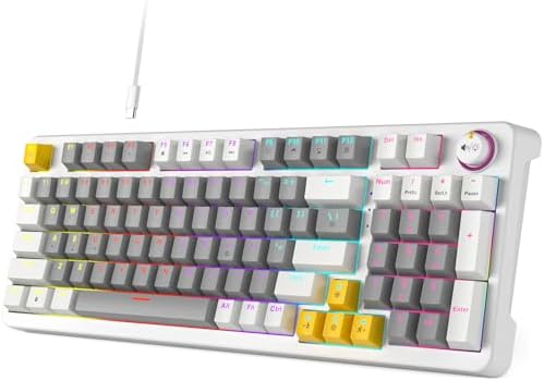 AK96 Mechanical Keyboard Smart Display & Knob, Top Mount 96% Wired Mechanical Keyboard USB-C, Hot Swappable, Software Support, Creamy Sounding, 96 Keys(Grey) by Meidosa